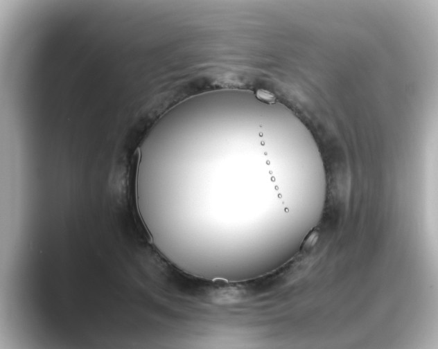 X0000089400513200706221120