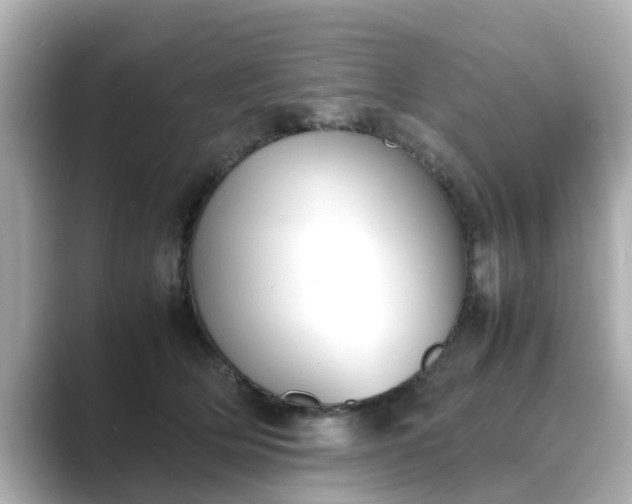 X0000089400514200706221120