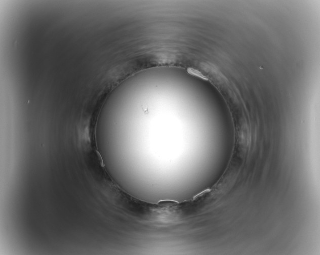 X0000089400516200706221120