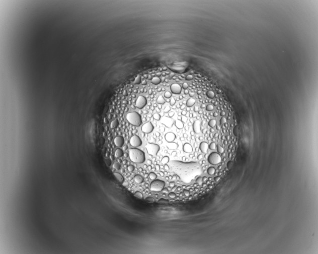 X0000089400519200706221120