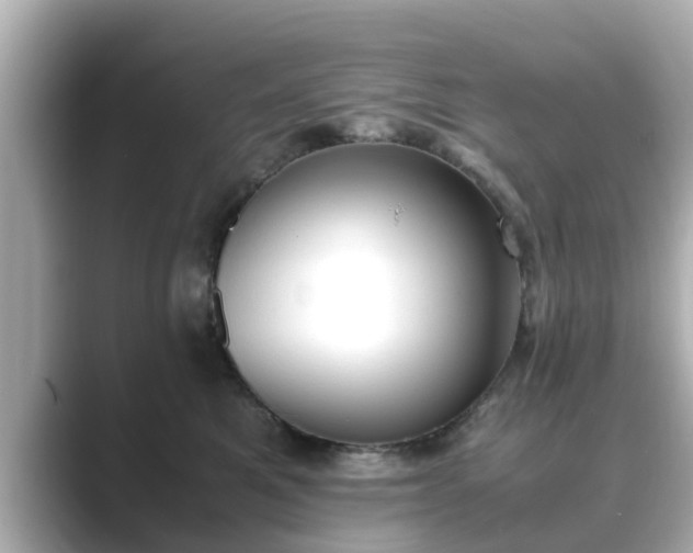 X0000089400521200706221120