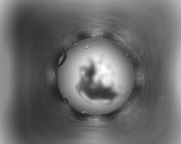 X0000089400523200706221120