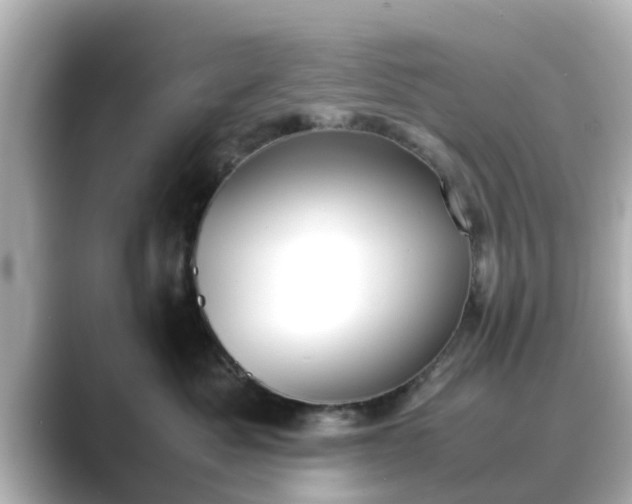 X0000089400525200706221120