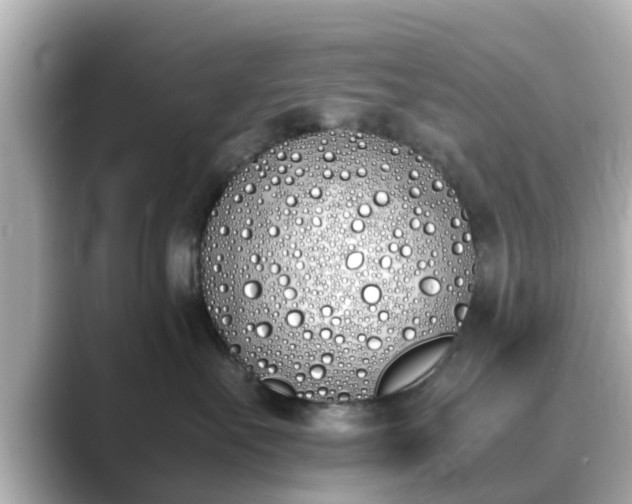 X0000089400527200706221119