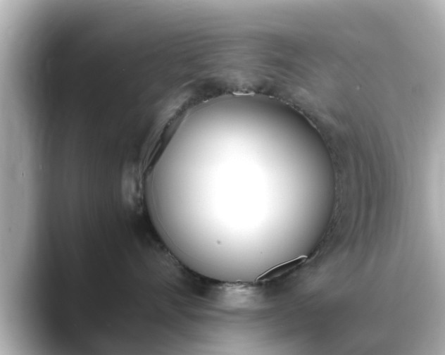 X0000089400528200706221119