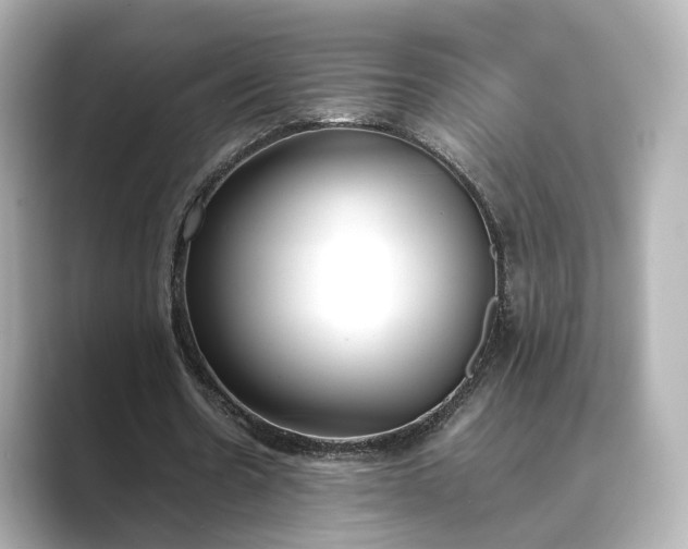 X0000089400530200706221119