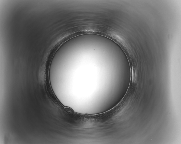 X0000089400531200706221119