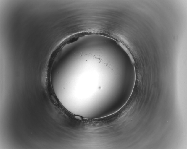 X0000089400532200706221119