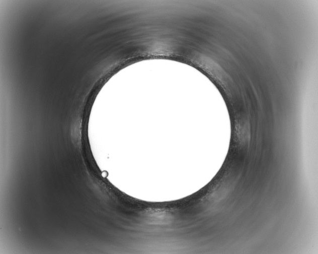 X0000089400534200706221119