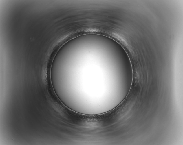 X0000089400535200706221119