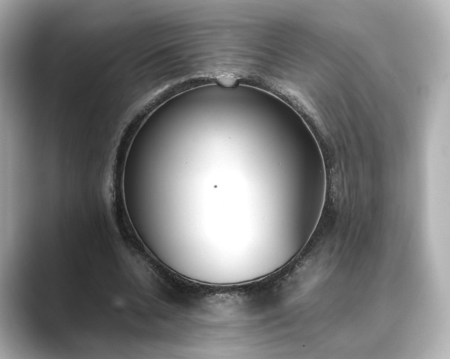 X0000089400536200706221119