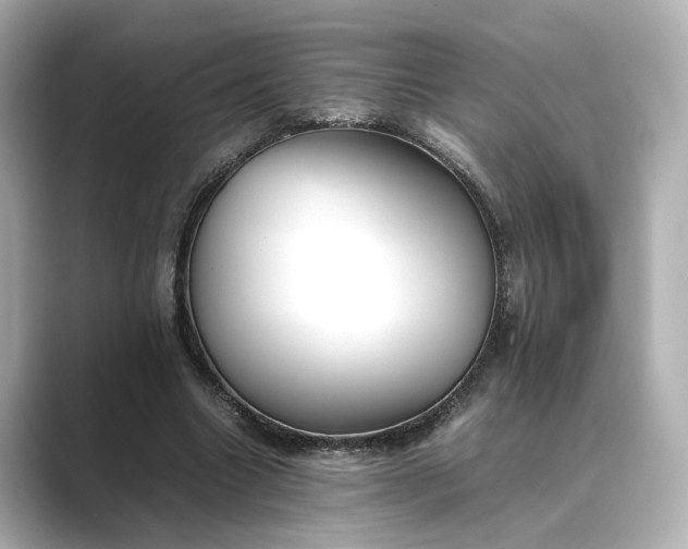 X0000089400538200706221119