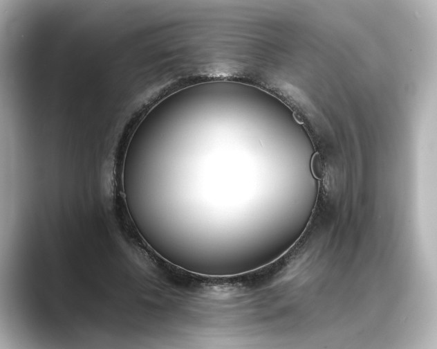 X0000089400540200706221119