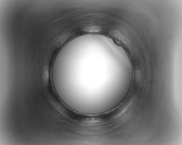 X0000089400541200706221119