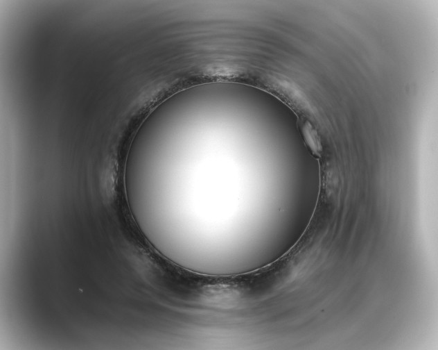 X0000089400544200706221119