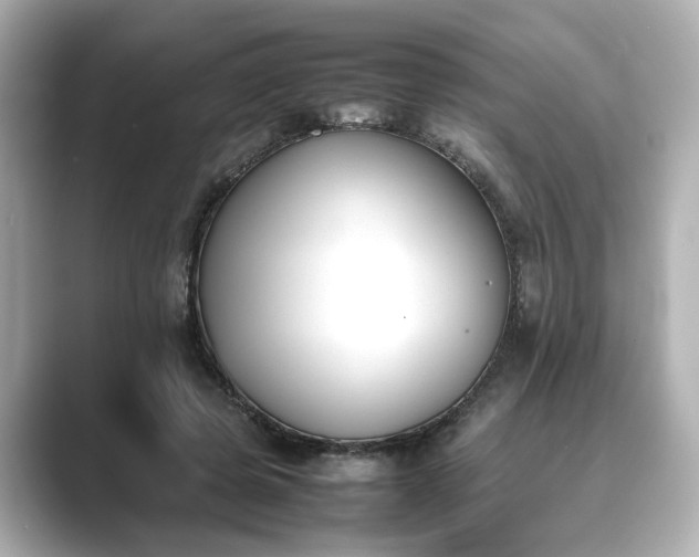 X0000089400545200706221119