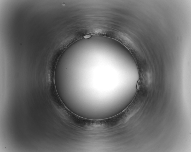 X0000089400546200706221119