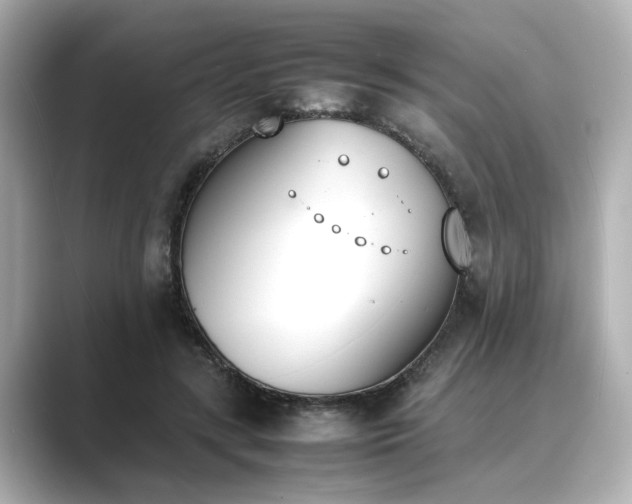 X0000089400547200706221119