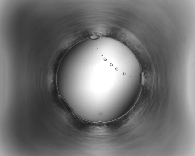 X0000089400548200706221119