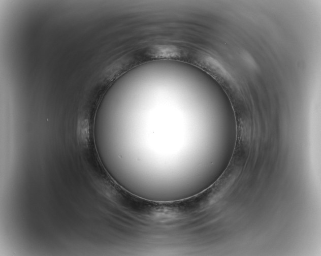 X0000089400549200706221119