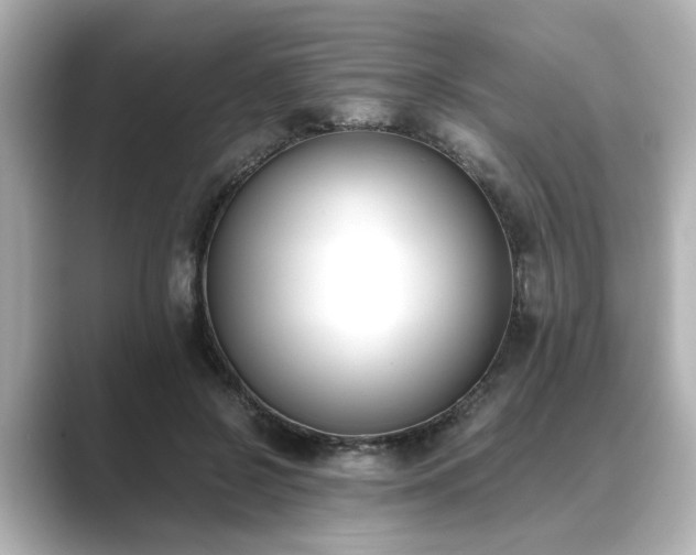 X0000089400550200706221119