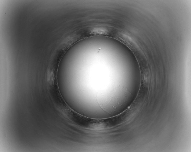 X0000089400551200706221119