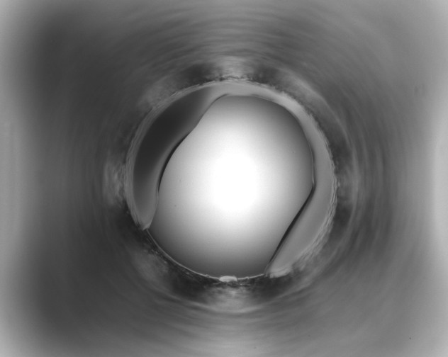 X0000089400552200706221119