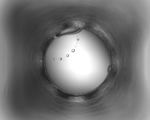 X0000089400553200706221119