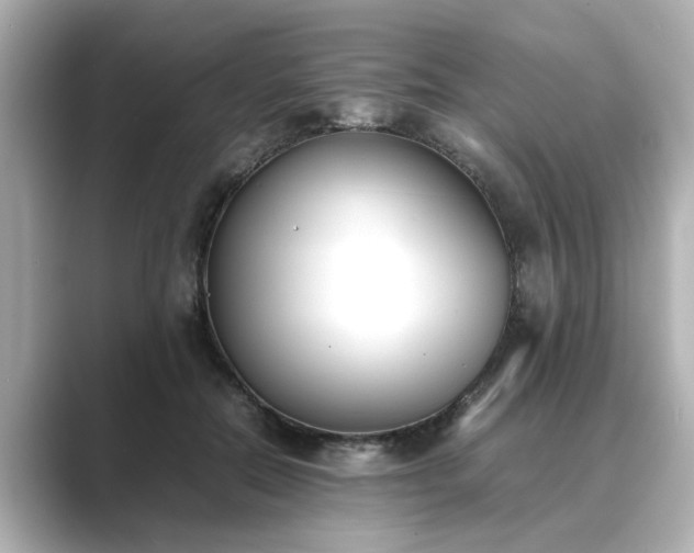 X0000089400554200706221119