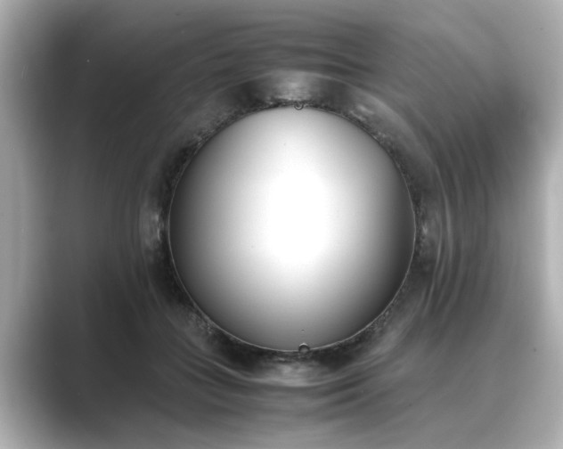 X0000089400555200706221119