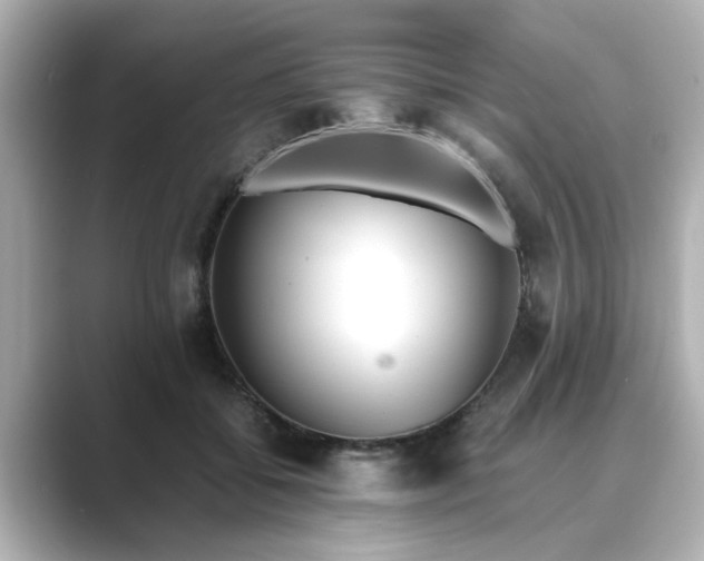 X0000089400556200706221119