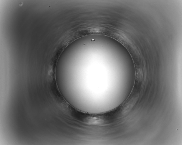 X0000089400557200706221119