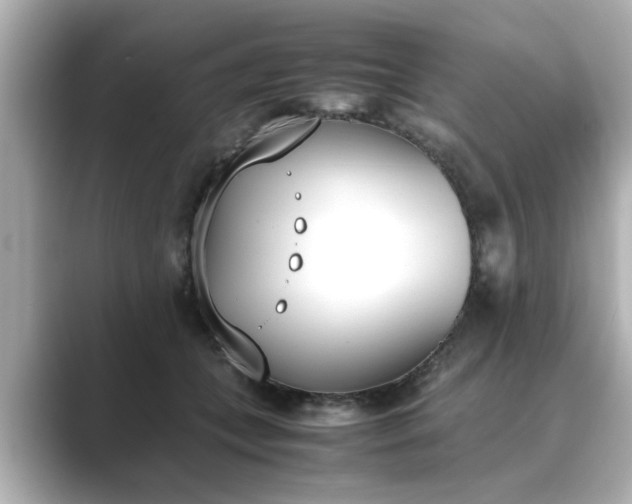 X0000089400559200706221119