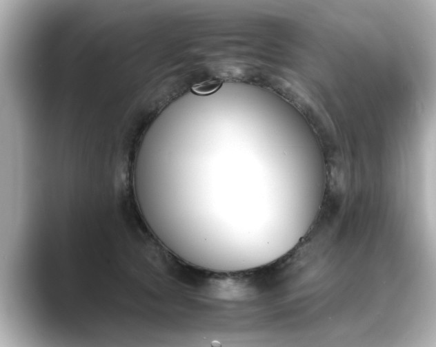 X0000089400561200706221119