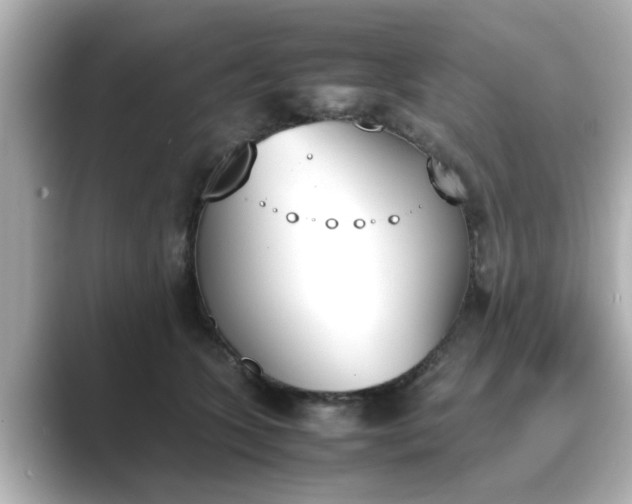 X0000089400563200706221119