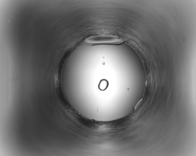 X0000089400564200706221119