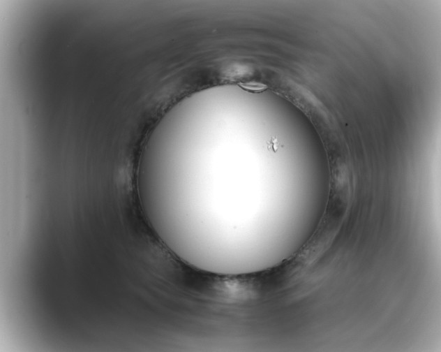 X0000089400565200706221119