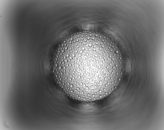 X0000089400569200706221119