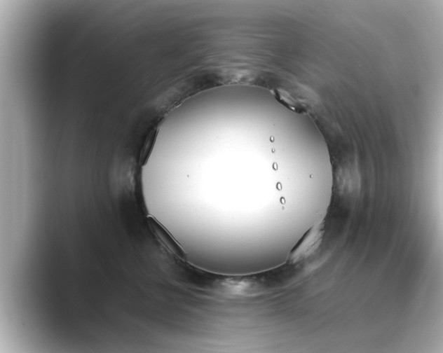 X0000089400570200706221119