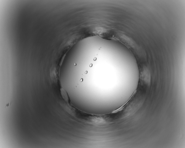 X0000089400572200706221119