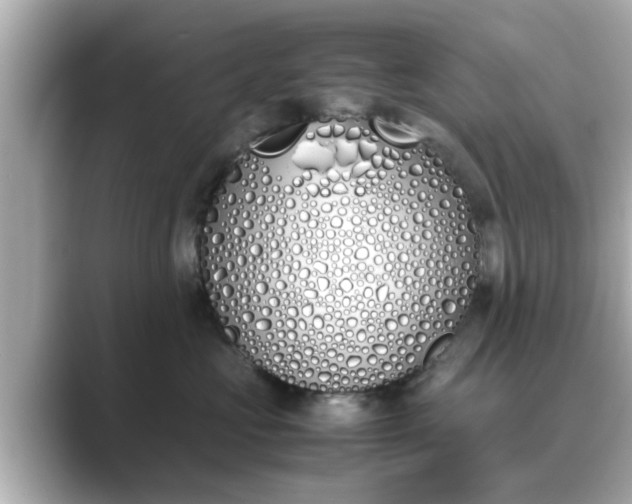 X0000089400573200706221119