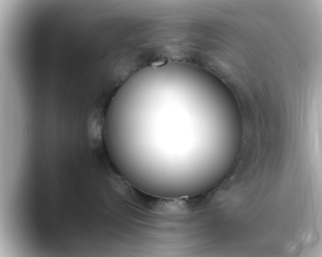 X0000089400576200706221119