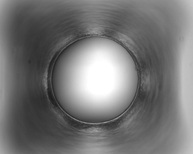 X0000089400578200706221119