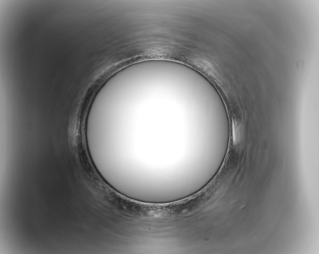 X0000089400579200706221119