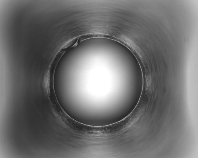 X0000089400580200706221119