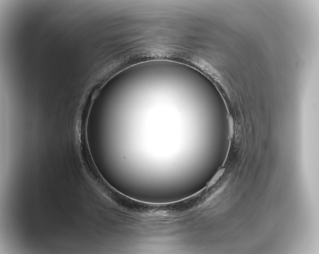 X0000089400581200706221119