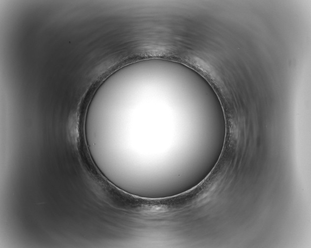 X0000089400582200706221119