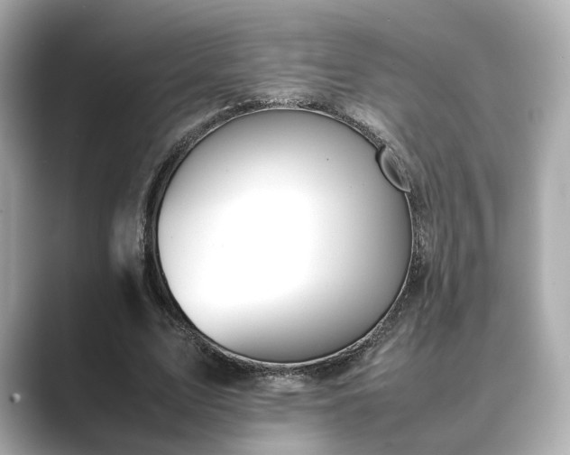 X0000089400583200706221119