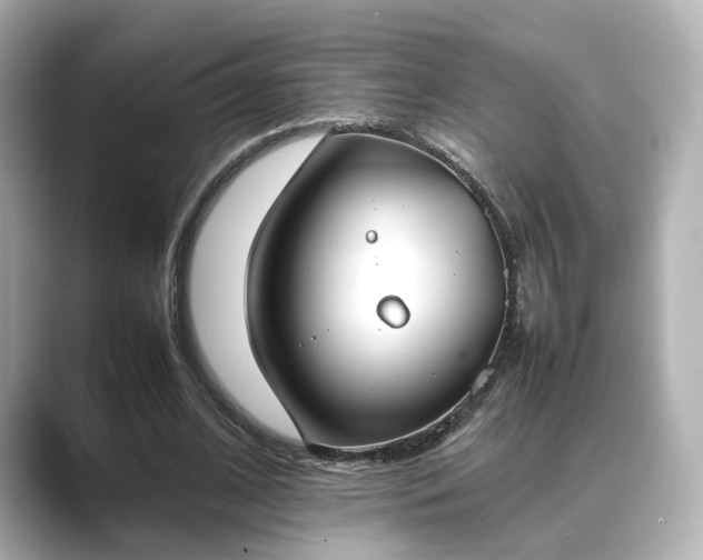 X0000089400584200706221119