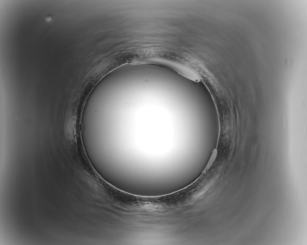 X0000089400585200706221119